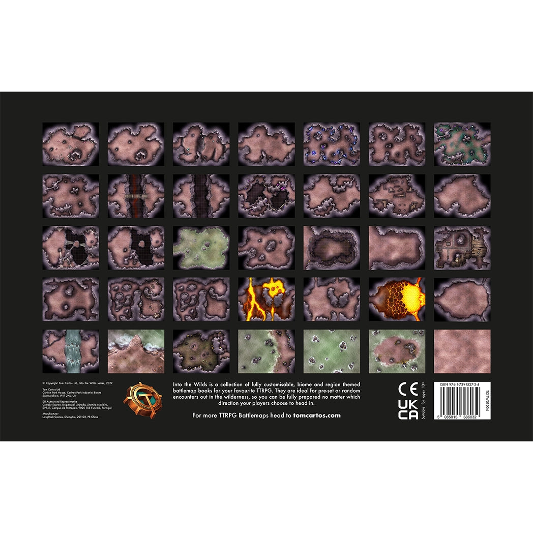 Caves & Caverns Battlemap Book